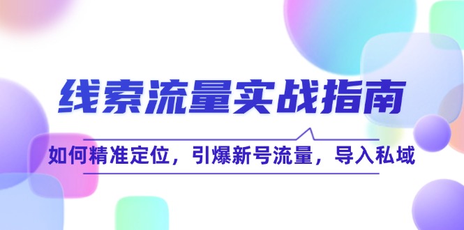 线 索 流 量-实战指南：如何精准定位，引爆新号流量，导入私域-搞钱利器