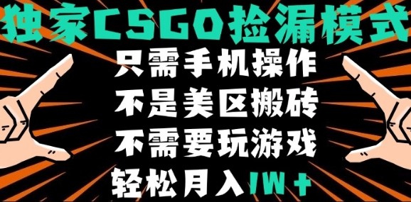 CSGO自动捡漏项目，最新独家玩法，不是美区搬砖，不需要了解和玩游戏，新手小白轻松月入1W+【揭秘】-搞钱利器