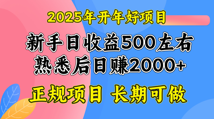 2025开年好项目，单号日收益2000左右-搞钱利器