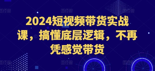 2024短视频带货实战课，搞懂底层逻辑，不再凭感觉带货-搞钱利器