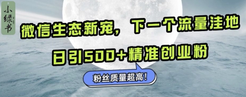 微信生态新宠小绿书：下一个流量洼地，日引500+精准创业粉，粉丝质量超高-搞钱利器
