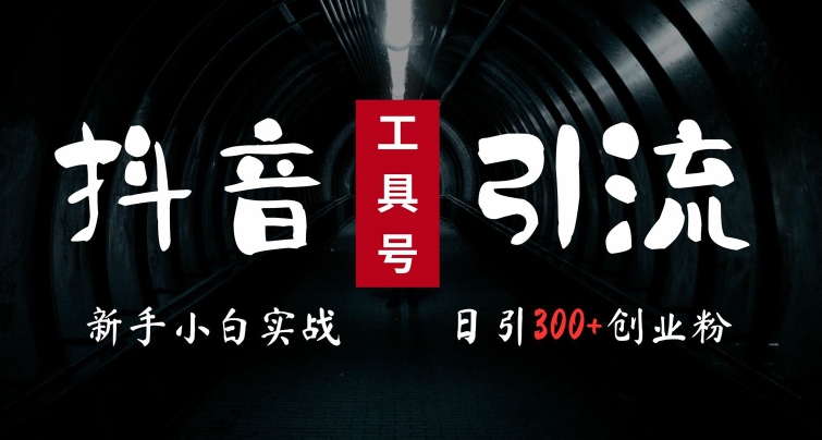 2024最新抖音工具号引流玩法，高效日引300+创业粉，当天变现5k，小白也可成为实战高手-搞钱利器