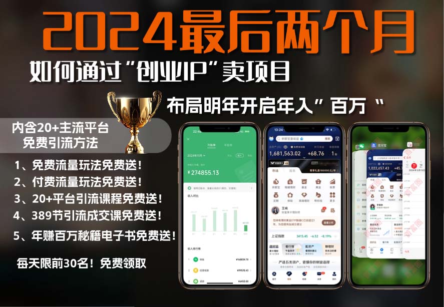 2024最后两个月如何通过”创业IP“卖项目年入”百万“,创业IP+最强引流…-搞钱利器