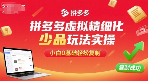 拼多多虚拟精细化少品玩法实操，小白0基础轻松复制-搞钱利器