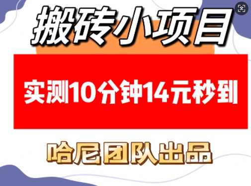 搬砖小项目，实测10分钟14元秒到，每天稳定几张(赠送必看稳定)-搞钱利器