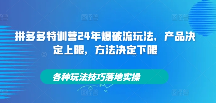 拼多多特训营24年爆破流玩法，产品决定上限，方法决定下限，各种玩法技巧落地实操-搞钱利器