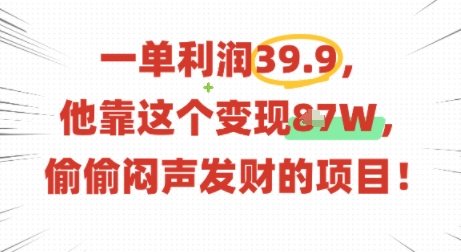 一单利润39.9，有人靠这个变现几十个，偷偷闷声发财的项目-搞钱利器
