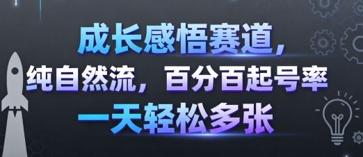 成长感悟赛道，纯自然流，百分百起号率 一天轻松多张-搞钱利器