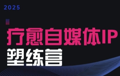 2025治愈自媒体IP训练营，专为疗愈领域从业者打造-搞钱利器