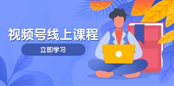 视频号实战课程，轻IP打造与运营技巧，掌握核心方法与策略-搞钱利器