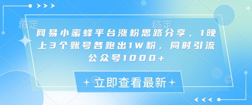 网易小蜜蜂平台涨粉思路分享，1晚上3个账号各跑出1W粉，同时引流公众号1000+-搞钱利器
