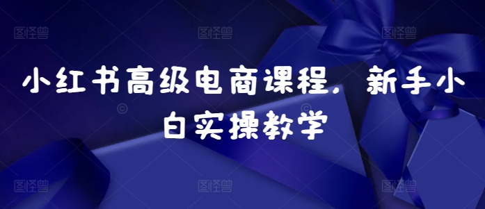 小红书高级电商课程，新手小白实操教学-搞钱利器