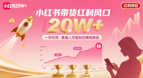 一年时间靠小红书带货项目年入20w+，最不能错的大红利项目-搞钱利器