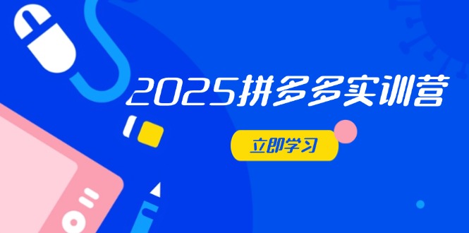 2025拼多多实训营：深度剖析运营关键，助力电商人快速提升-搞钱利器