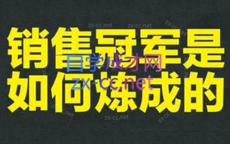 林林老师·成为外贸销售冠军课-搞钱利器