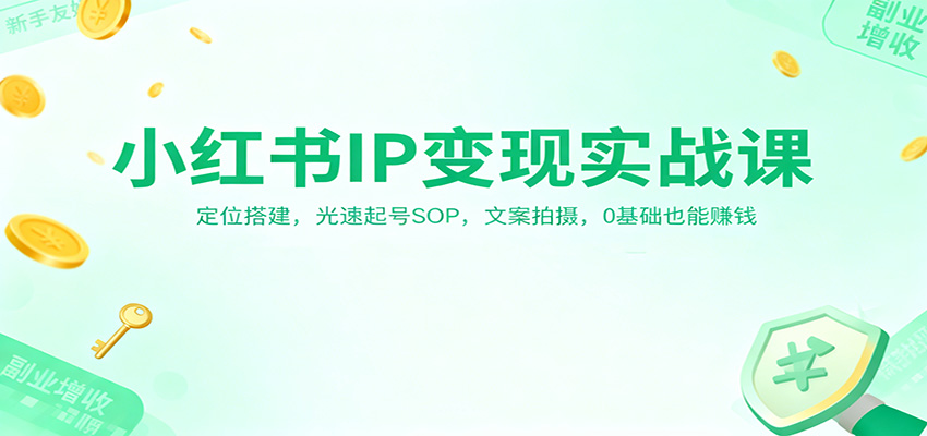 小红书IP变现实战课:定位搭建,光速起号SOP,文案拍摄,0基础也能赚钱-搞钱利器