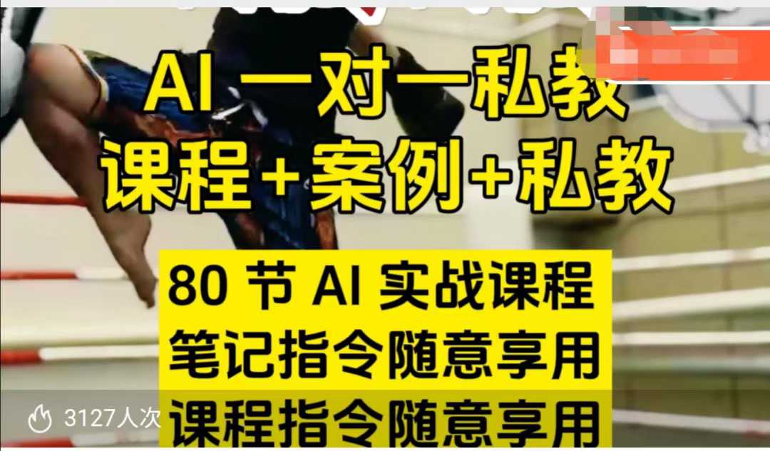 AI指令实战课，课程+案例，80节AI实战课程，笔记指令随意享用，课程指令随意享用(更新7月)-搞钱利器