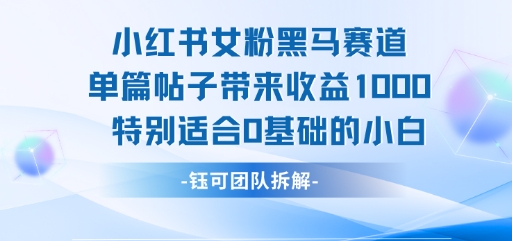 小红书女粉黑马赛道单篇帖子带来收益1k+，特别适合0基础的小白-搞钱利器