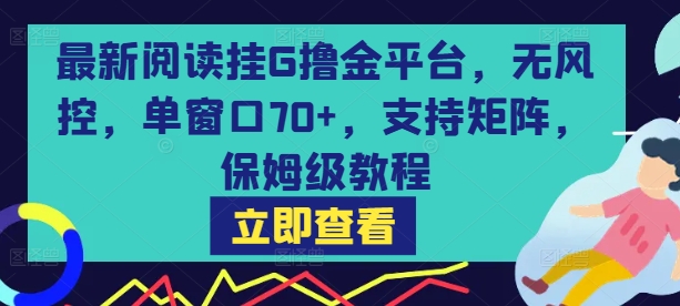 最新阅读挂G撸金平台，无风控，单窗口70+，支持矩阵，保姆级教程【揭秘】-搞钱利器