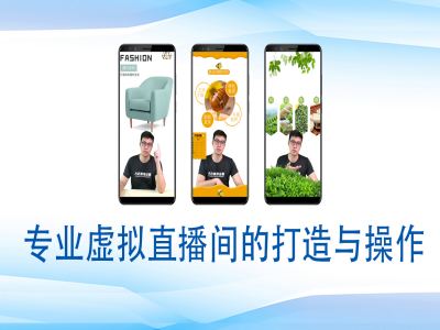 个人虚拟直播间的搭建与操作，专业虚拟直播间的打造与操作-搞钱利器