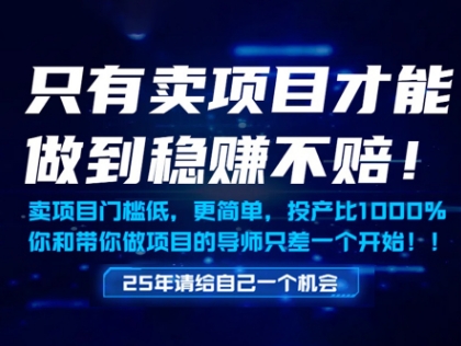 只有卖项目才能做到稳挣不赔，门槛低，更简单，你也可以年入百个W【揭秘】-搞钱利器