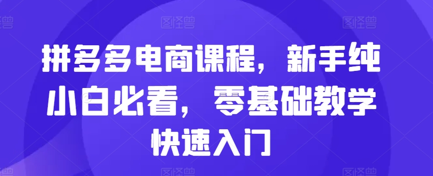 拼多多电商课程，新手纯小白必看，零基础教学快速入门-搞钱利器