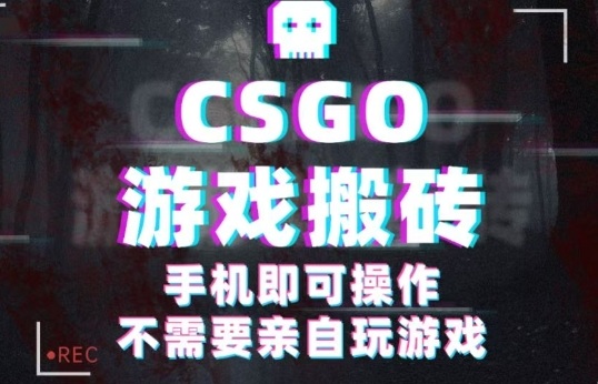 CSGO游戏挂G捡漏，单日扫货5张+，年底小高峰上车可吃肉，手机即可操作，兼职副业创业网创【揭秘】-搞钱利器