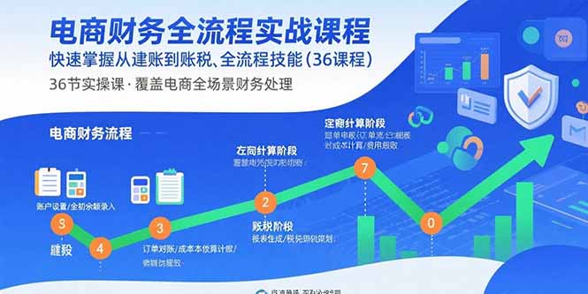 电商财务全流程实战课程：快速掌握从建账到报税的全流程技能(36节课-搞钱利器