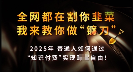 知识付费如何做到月入过W+，2025我来教你做“镰刀”【揭秘】-搞钱利器