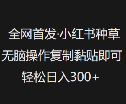 全网首发，小红书种草无脑操作，复制黏贴即可，轻松日入3张-搞钱利器
