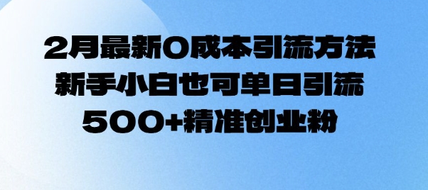 2月最新0成本引流方法，新手小白也可单日引流500+精准创业粉-搞钱利器
