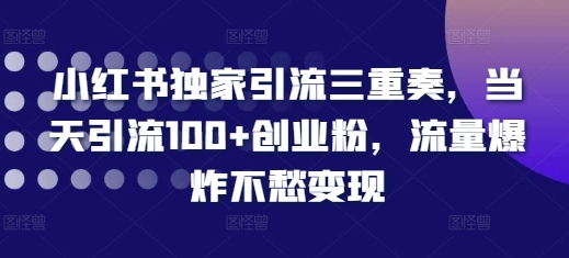 小红书独家引流三重奏，当天引流100+创业粉，流量爆炸不愁变现【揭秘】-搞钱利器