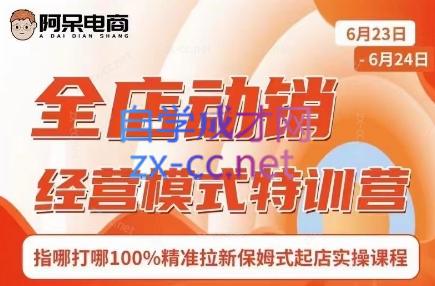 阿呆电商·全店动销经营模式特训营(线下录音+思维导图)-搞钱利器
