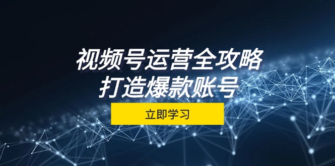 视频号运营全攻略，从定位到成交一站式学习，视频号核心秘诀，打造爆款…-搞钱利器