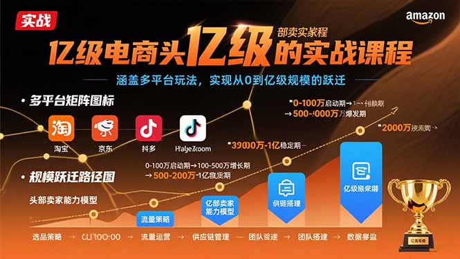 亿级电商头部卖家的实战课程：涵盖多平台玩法，实现从0到亿级规模的跃迁-搞钱利器