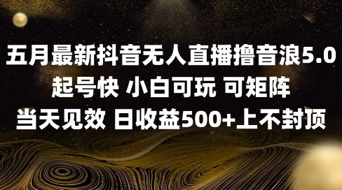 2025五月最新无人直播撸音浪单日产出5张+实操教程【揭秘】-搞钱利器