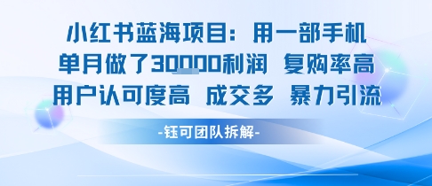 小红书蓝海项目，一部手机单月做了3W利润，小白也能月入过1W用户认可度高成交多-搞钱利器