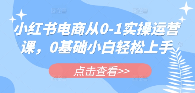 小红书电商从0-1实操运营课，0基础小白轻松上手-搞钱利器