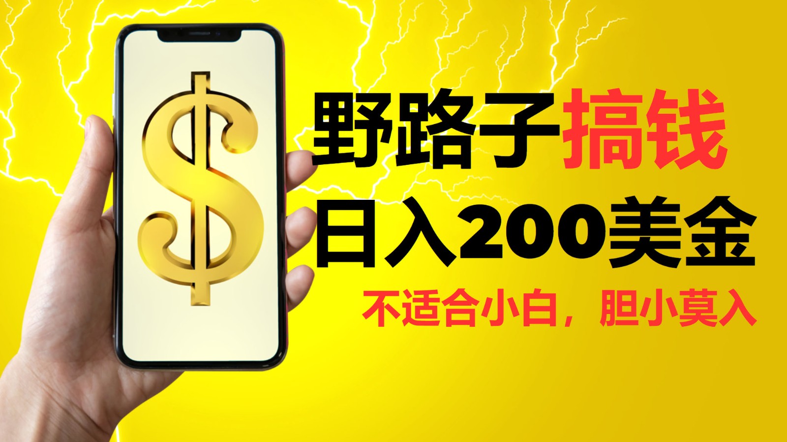 挂机野路子搞钱，日入200美金，路子很野，小白莫入-搞钱利器