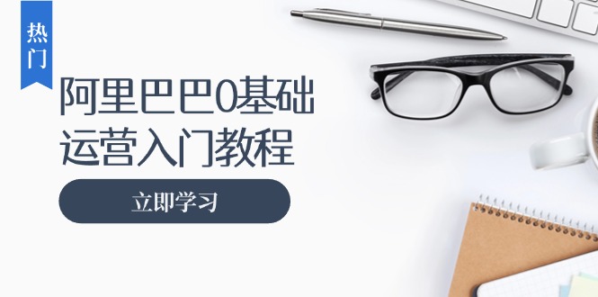 阿里巴巴运营零基础入门教程：涵盖开店、运营、推广，快速成为电商高手-搞钱利器
