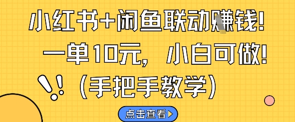 小红书+闲鱼联动挣钱，一单10元，小白可做-搞钱利器