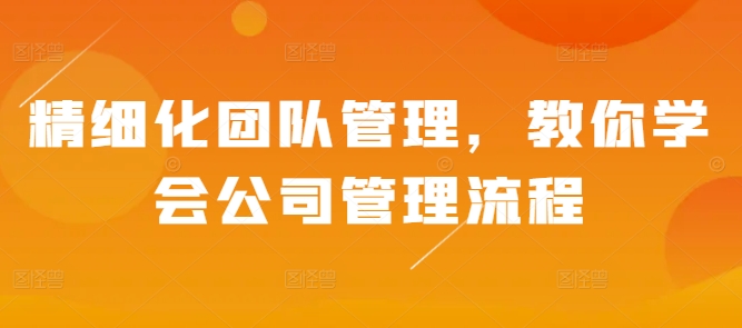 精细化团队管理，教你学会公司管理流程-搞钱利器