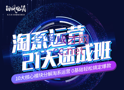 淘系运营21天速成班(更新7月)-搞钱利器