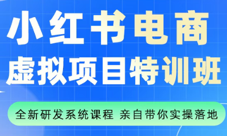 陆明明·小红书虚拟项目特训班(更新9月)-搞钱利器