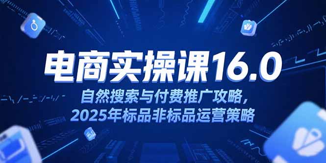 淘宝电商运营课16.0，自然搜索与付费推广攻略，2025年标品非标品运营策略-搞钱利器