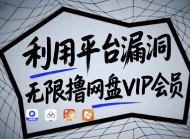 利用平台漏洞，无限撸网盘VIP会员，用户亲测有效!【漏洞原理+操作演示】-搞钱利器