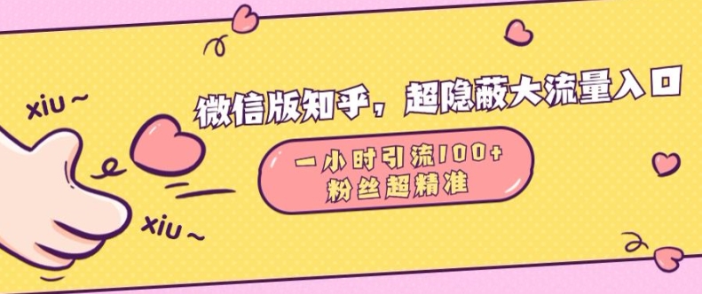 微信版知乎，超隐蔽流量入口1小时引流100人，粉丝质量超高【揭秘】-搞钱利器