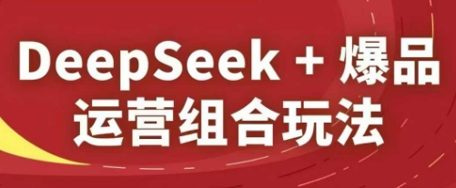 DeepSeek+爆品运营组合玩法，2025淘系精品课-搞钱利器