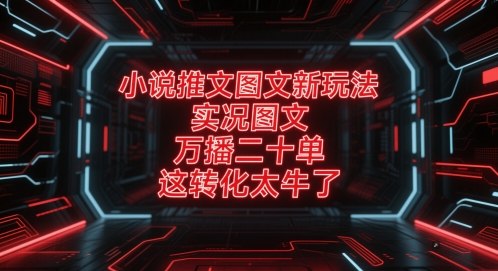 小说推文图文新玩法，实况图文，万播二十单，这转化太牛了！-搞钱利器