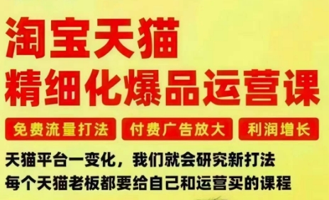 淘宝天猫精细化爆品运营课，免费流量打法-付费广告放大-利润增长-三大核心痛点，一次全部解决-搞钱利器